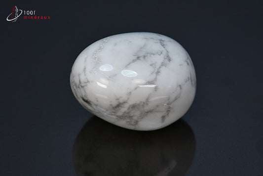 Minéral poli de howlite blanche d'Afrique du sud