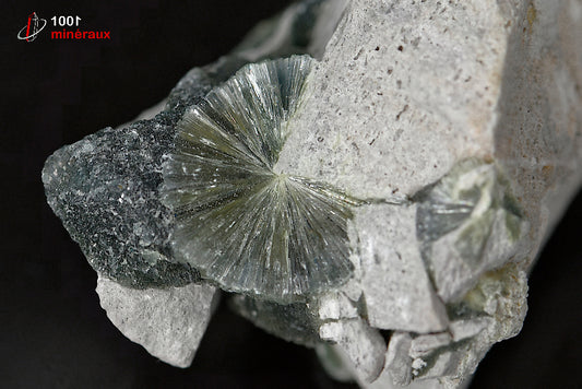 Minéral cristallisé de wavellite verte des Etats-Unis