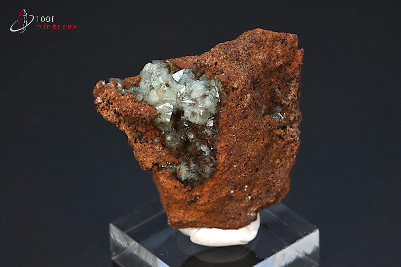 Minéral cristallisé d'adamite verte sur limonite du Mexique