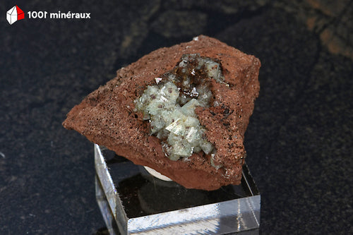 Adamite sur Limonite de Mapimí, Mexique - Spécimen de 42 g présenté sur socle - BM224
