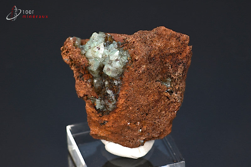 Minéral cristallisé d'adamite verte sur limonite du Mexique