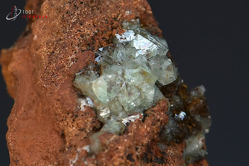 Minéral cristallisé d'adamite verte sur limonite du Mexique