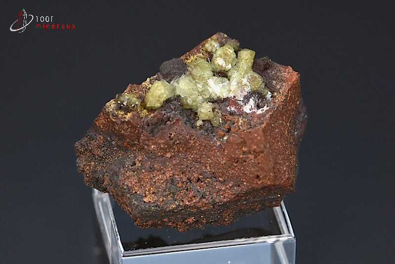 Minéral cristallisé d'adamite verte sur limonite du Mexique avec socle