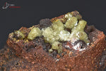 Adamite sur Limonite - Mexique - minéraux à cristaux 3,4 cm / 31g / BM261 - Vignette | 1001 minéraux