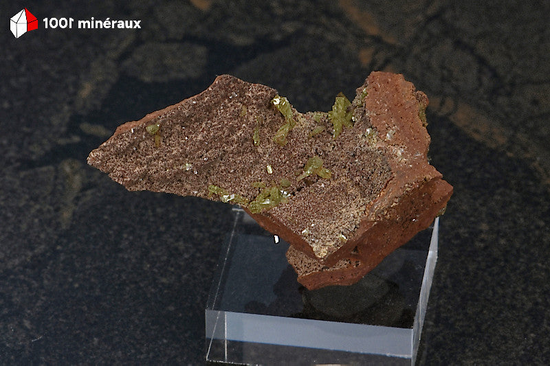 Adamite sur Limonite de Mapimí, Mexique - Spécimen à matrice étirée et courbe - 27 g - BM262

