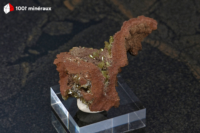 Adamite sur Limonite de Mapimí, Mexique - Spécimen de 4,7 x 2,9 x 2,3 cm - BM262
