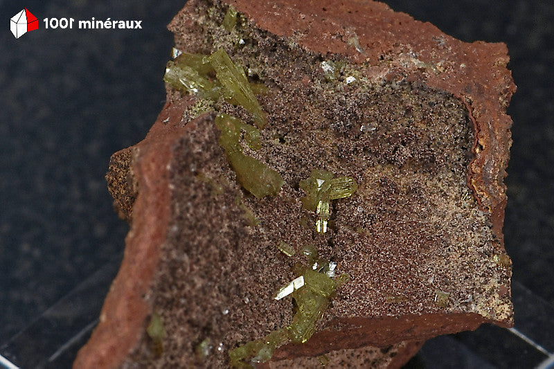 Adamite sur Limonite de Mapimí - Vue rapprochée des cristaux et de leur support brun-rouge - BM262
