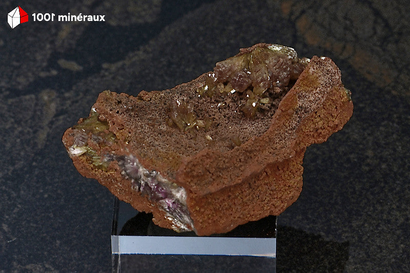 Adamite sur Limonite de Mapimí, Mexique - Groupes de cristaux en éventail - 37 g - BM263
