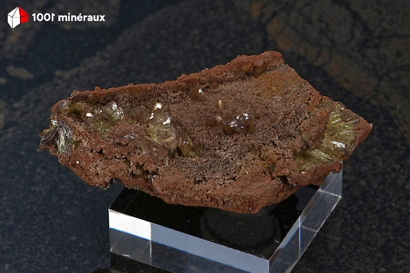 Adamite sur Limonite de Mapimí, Mexique - Spécimen de 4,1 x 3,1 x 1,6 cm - BM263
