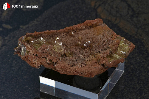 Adamite sur Limonite de Mapimí, Mexique - Spécimen de 4,1 x 3,1 x 1,6 cm - BM263
