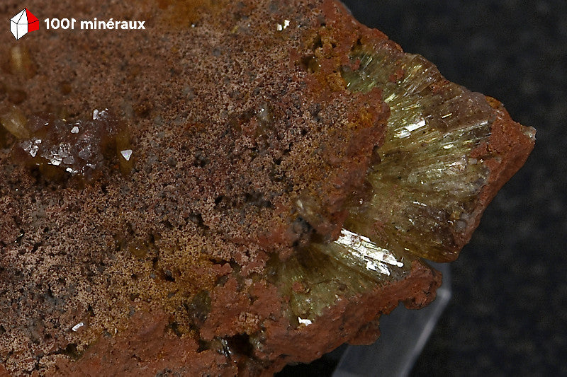 Adamite sur Limonite de Mapimí - Détail des petits groupes de cristaux translucides sur leur support brun-orangé - BM263
