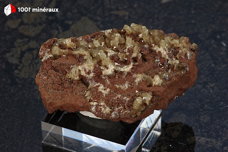 Adamite sur Limonite de Mapimí, Mexique - Spécimen de 46 g présenté sur socle - BM264
