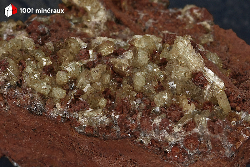 Adamite de Mapimí, Mexique - Détail des cristaux allongés jaune-vert sur Limonite - BM264
