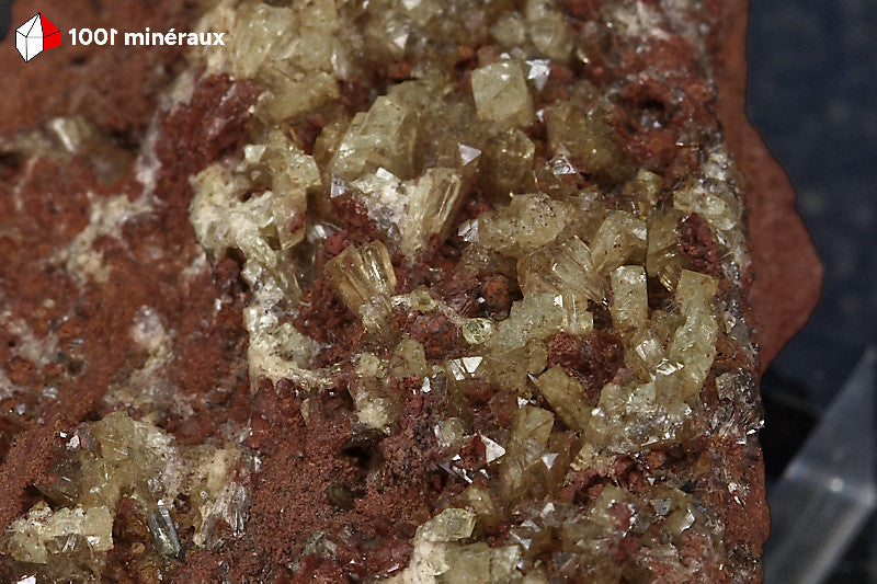 Adamite sur Limonite de Mapimí - Vue rapprochée de la répartition des cristaux sur la matrice brun-rouge - BM264
