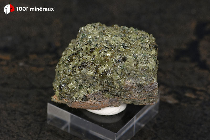 Péridot sur basalte USA - Vue de profil, épaisseur 2,4 cm - 64 g
