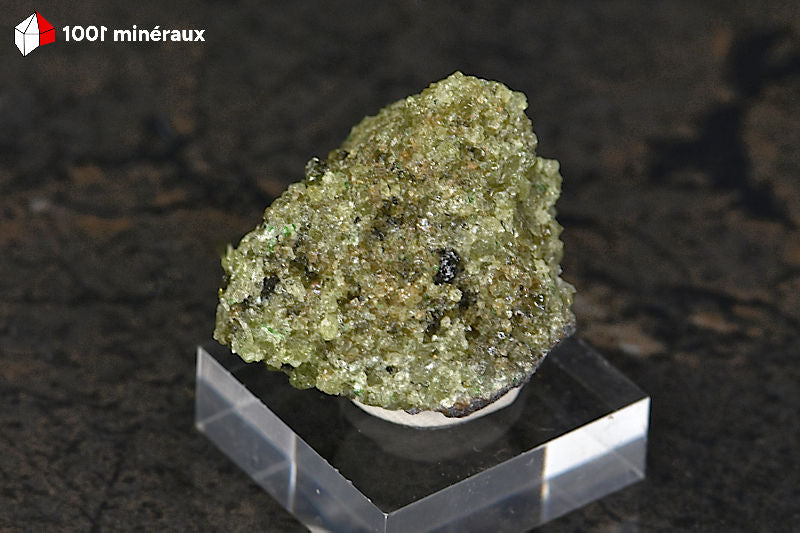 Péridot sur basalte USA - Vue d'ensemble, cristaux jaune-vert dorés sur roche volcanique - 35 g - BM268
