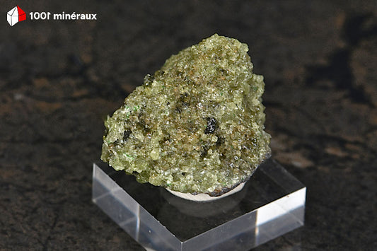 Péridot sur basalte USA - Vue d'ensemble, cristaux jaune-vert dorés sur roche volcanique - 35 g - BM268
