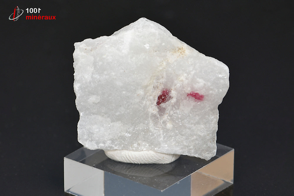 Minéral cristallisé de spinelle rouge sur marbre cipolin de Birmanie