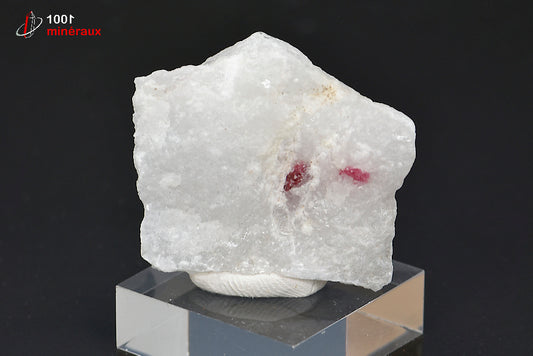 Minéral cristallisé de spinelle rouge sur marbre cipolin de Birmanie