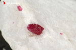 Spinelle rouge sur Cipolin de Birmanie (3 cristaux) - 29 g / BM272 - Vignette | 1001 minéraux