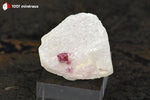 Spinelle rouge sur Cipolin de Birmanie (cristal de 5 mm) - 15 g / BM273 - Vignette | 1001 minéraux