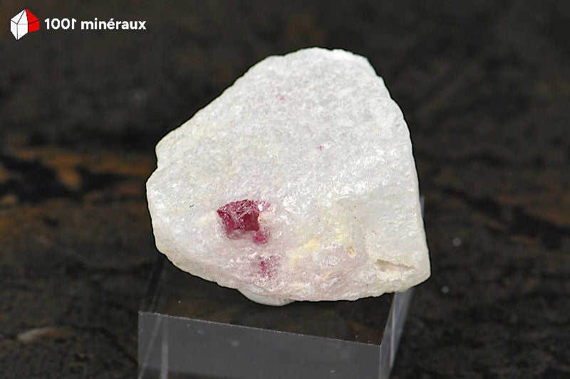 Spinelle rouge Birmanie - Cristal octaédrique 5 mm sur Cipolin blanc - 15 g - BM273
