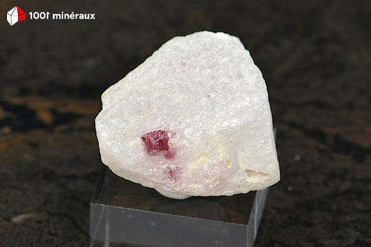 Spinelle rouge Birmanie - Cristal octaédrique 5 mm sur Cipolin blanc - 15 g - BM273
