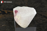 Spinelle rouge sur Cipolin de Birmanie (cristal de 5 mm) - 15 g / BM273 - Vignette | 1001 minéraux