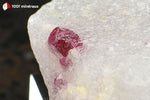 Spinelle rouge sur Cipolin de Birmanie (cristal de 5 mm) - 15 g / BM273 - Vignette | 1001 minéraux