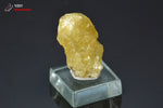 Brucite jaune - Pakistan- minéraux à cristaux 2,8 cm / 7g / BM345 - Vignette | 1001 minéraux