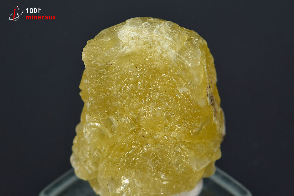 Minéral cristallisé de brucite jaune du Pakistan