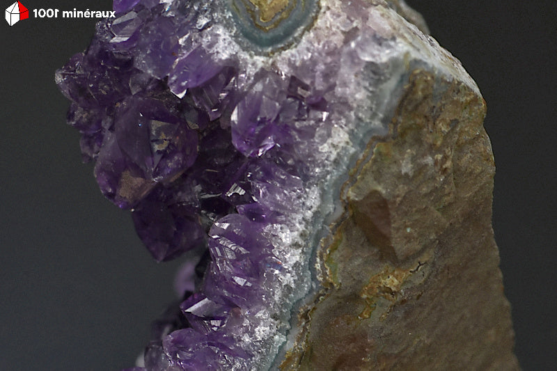Druse d'Améthyste d'Uruguay - Détail des cristaux violet foncé - BM483
