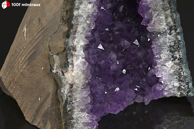 Druse d'Améthyste d'Uruguay en géode