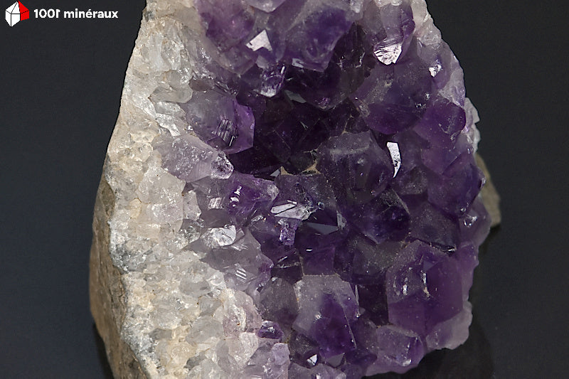 Druse d'Améthyste d'Uruguay - Détail des cristaux violet foncé - BM535