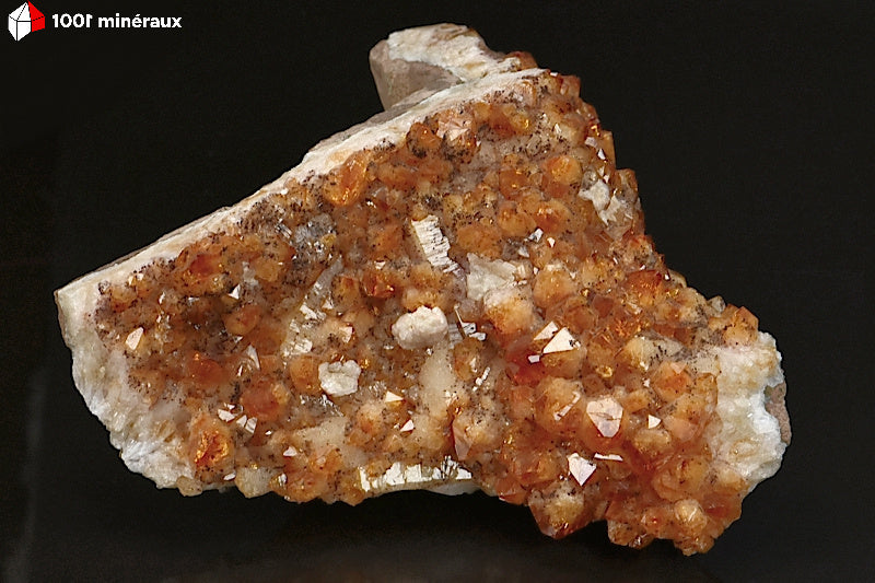 Minéral cristallisé de druse de Citrine du Brésil