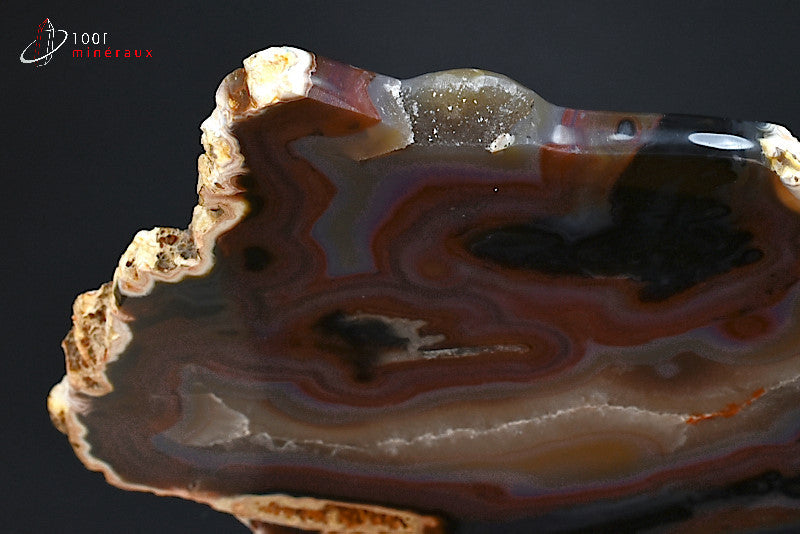 Minéral tranche d'agate polie à motifs rouges du Brésil