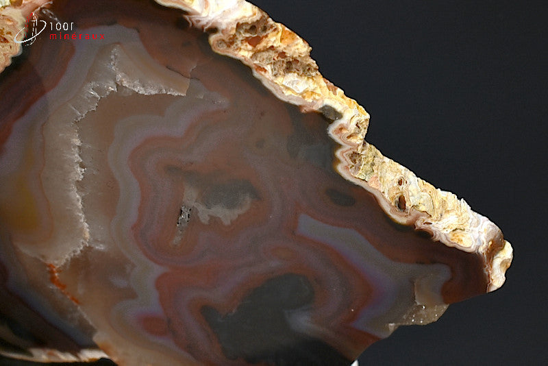 Grande tranche Agate Brésil - Détail des bandes rouges et brunes translucides - 268 g
