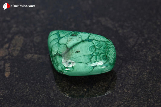 Malachite polie RDC - Teintes vert clair bariolées, dessins concentriques - 18 g - BM642
