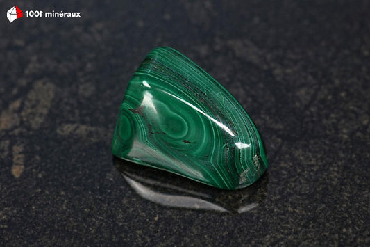 Malachite polie RDC - Cercles concentriques vert foncé intense - 23 g - BM643
