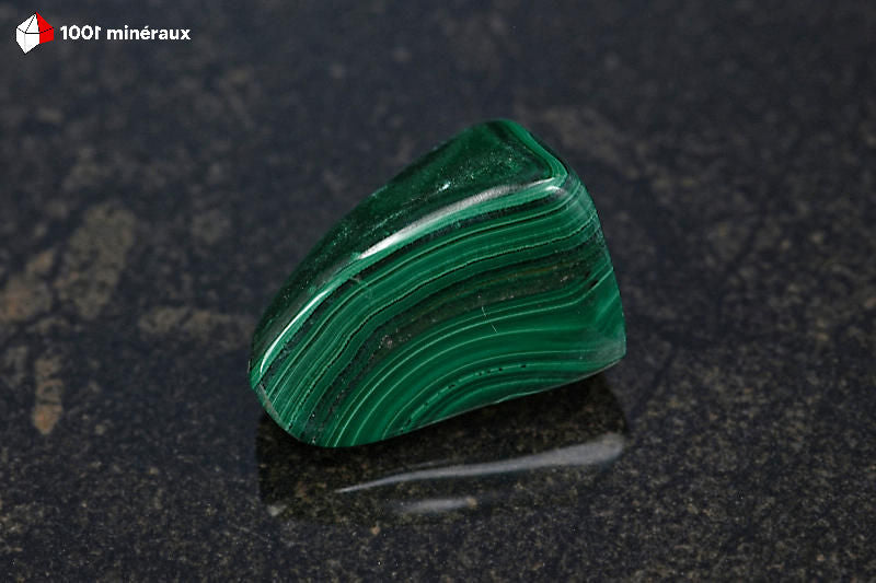 Malachite polie RDC - Détail des cercles concentriques, vert foncé - 23 g
