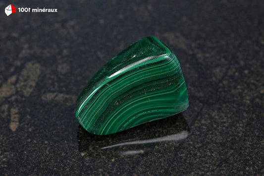Malachite polie RDC - Détail des cercles concentriques, vert foncé - 23 g
