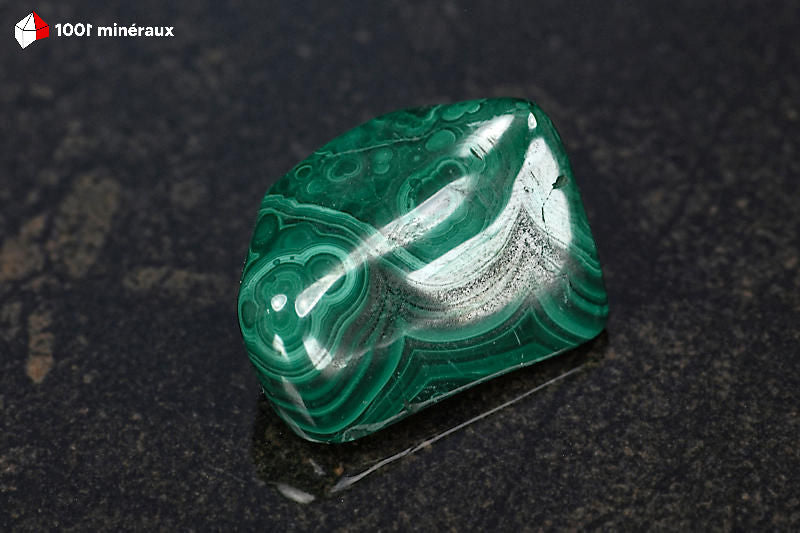 Malachite polie RDC - Cercles concentriques vert foncé intense - 28 g - BM644
