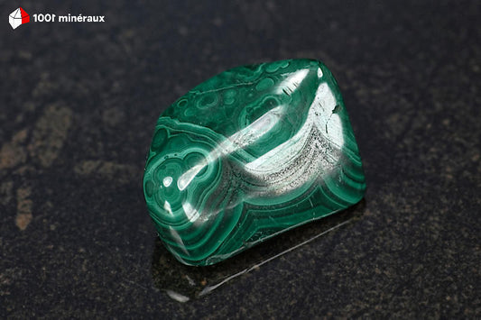 Malachite polie RDC - Cercles concentriques vert foncé intense - 28 g - BM644
