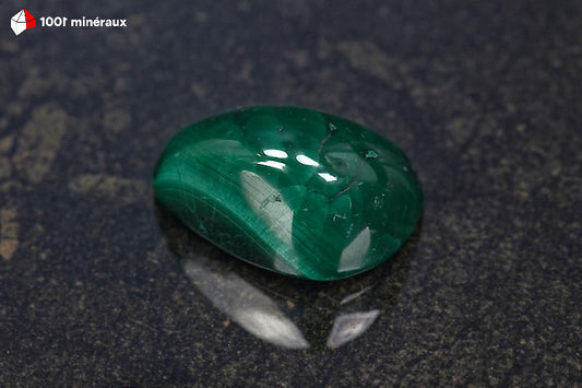 Malachite polie RDC - Détail des cercles concentriques, vert foncé - 28 g
