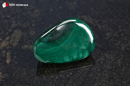 Malachite polie RDC - Cercles concentriques vert foncé intense - 28 g - BM645
