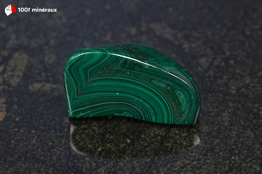 Malachite polie RDC - Face plane, cercles concentriques vert foncé et vert clair - 35 g - BM646
