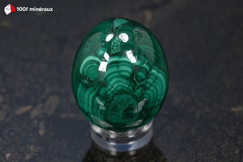 Malachite polie en œuf RDC - Face cercles concentriques vert foncé - 144 g - BM648
