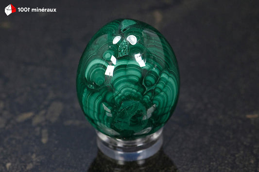 Malachite polie en œuf RDC - Face cercles concentriques vert foncé - 144 g - BM648
