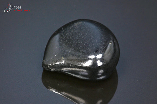 Minéral poli de shungite de Russie