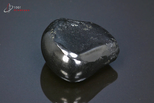 Minéral poli de shungite de Russie